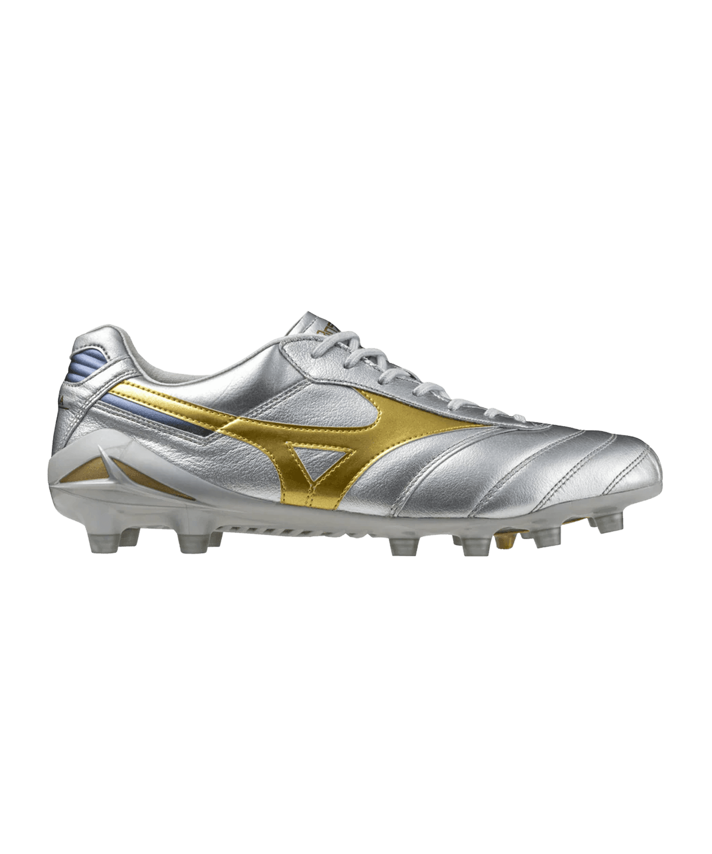 MORELIA DNA JAPAN